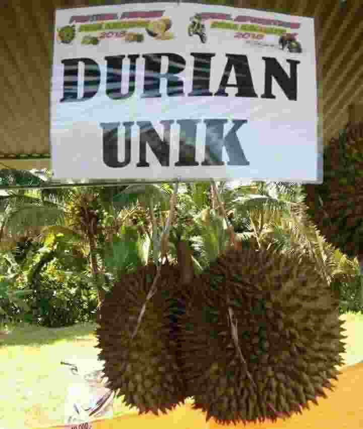 Ini Keunikan Rasa Durian Kalijaya di Festival Durian 