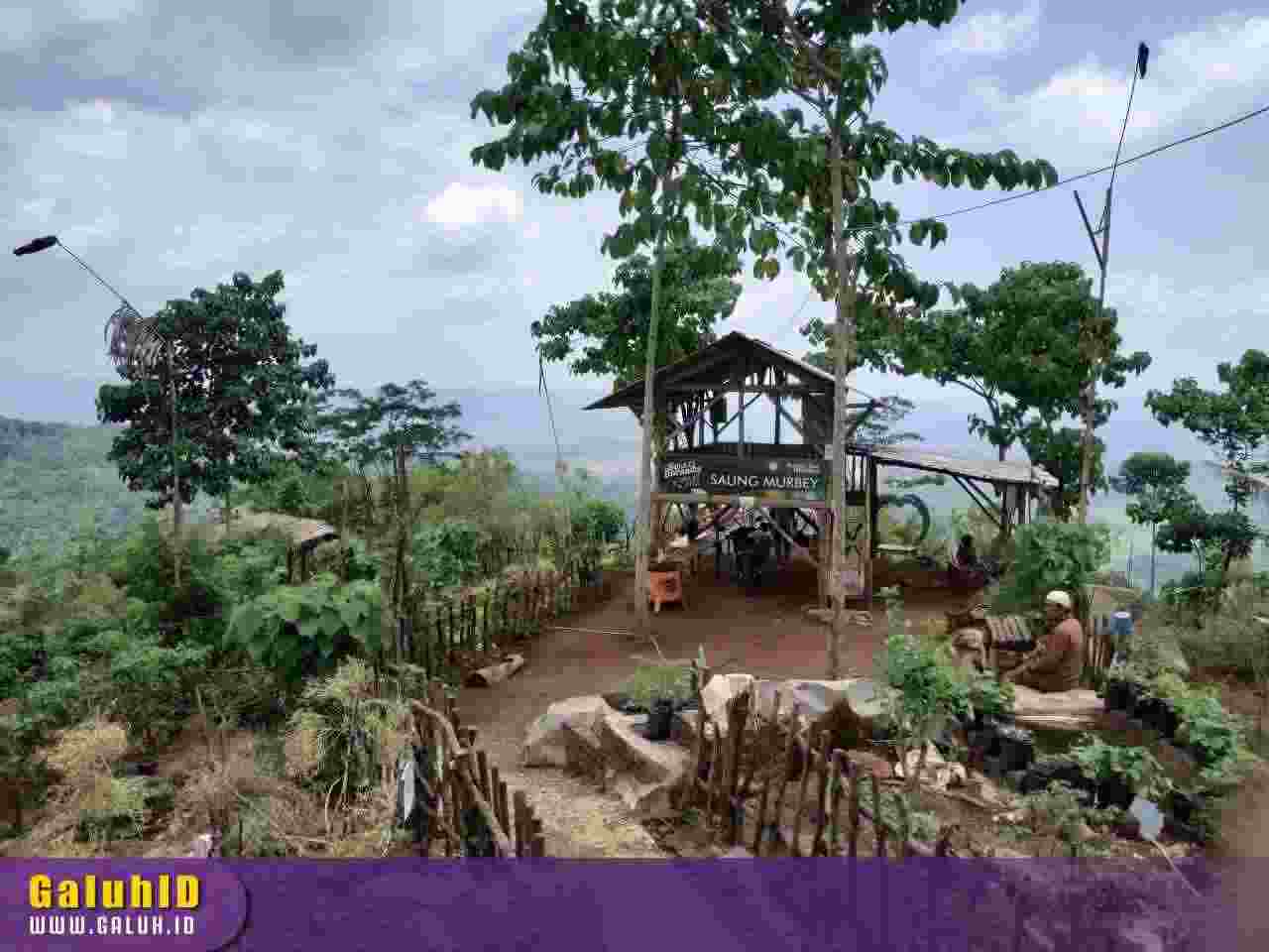 Agrowisata Murbey Ciakar Destinasi Wisata Alam Baru Di Kabupaten Ciamis