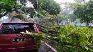 Hujan Angin, Pohon Tumbang dan Timpa Mobil di Depan Islamic Center Ciamis