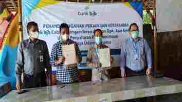 Bank Bjb Kolaborasi Dengan Penambak Udang di Pangandaran