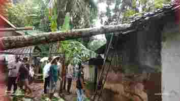 Rumah Lansia di Pamarican Ciamis Rusak Tertimpa Pohon Tumbang